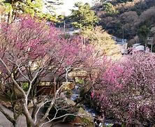 熱海温泉、熱海、伊豆山、糸川、伊豆山神社、来宮神社、梅園、お宮の松、国際観光専門学校熱海校、熱海偕楽園