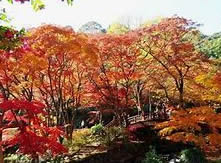 熱海温泉、熱海、伊豆山、糸川、伊豆山神社、来宮神社、梅園、お宮の松、国際観光専門学校熱海校、熱海偕楽園