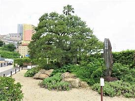 熱海旅行格安,熱海ツアー格安,熱海温泉格安,熱海ツアーパック,熱海温泉おすすめ,熱海ホテル格安,熱海偕楽園