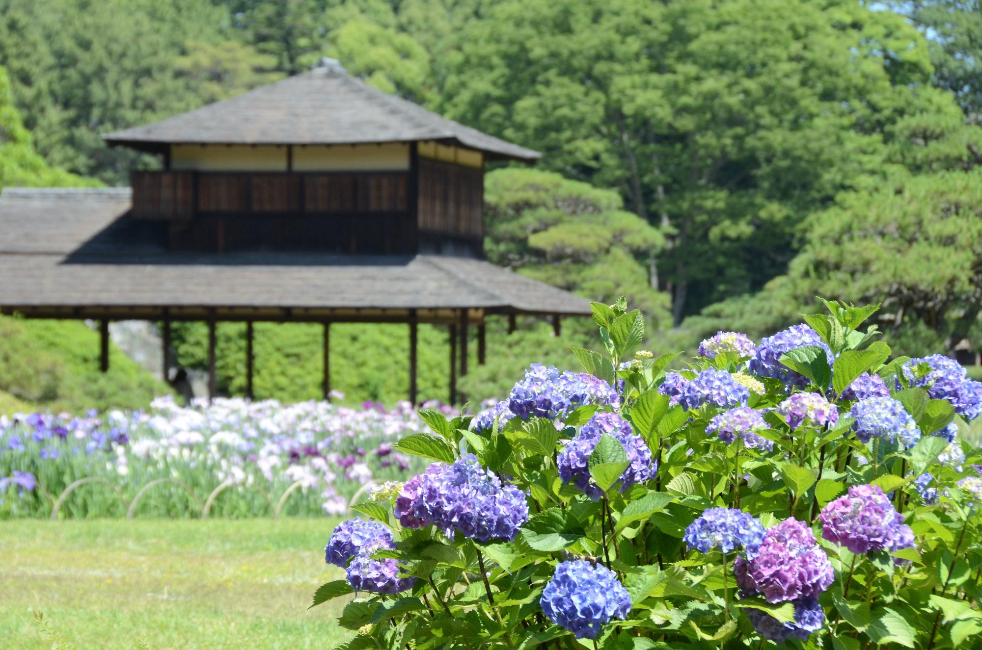 旅行豆知識、旅行雑学、日本三大庭園・後楽園
