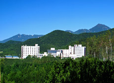 北海道旅行格安,北海道ツアー格安,北海道レンタカー付き,北海道フリープラン,北海道函館ツアー格安,北海道札幌ツアー格安,北海道小樽ツアー格安,北海道富良野ツアー格安,北海道ツアー2泊3日,北海道ツアー飛行機,北海道ツアー新幹線,エールツアー