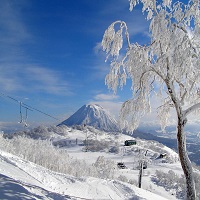 北海道旅行格安,北海道ツアー格安,北海道レンタカー付き,北海道フリープラン,北海道函館ツアー格安,北海道札幌ツアー格安,北海道小樽ツアー格安,北海道富良野ツアー格安,北海道ツアー2泊3日,北海道ツアー飛行機,北海道ツアー新幹線,エールツアー