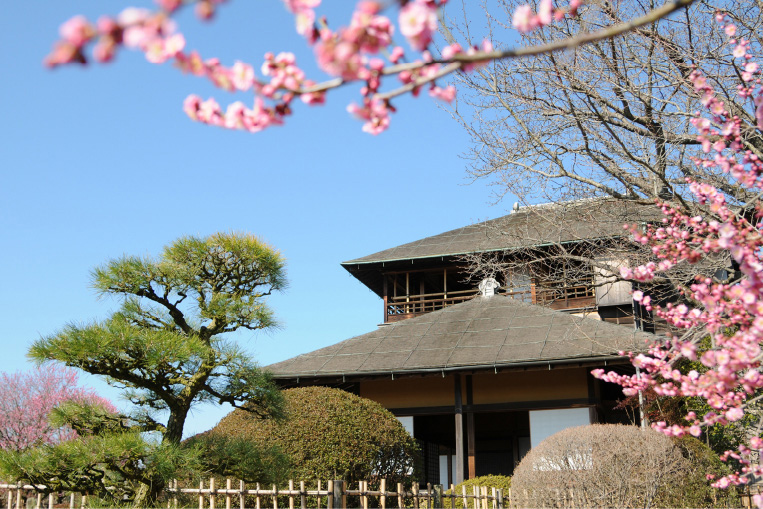 旅行豆知識、旅行雑学、日本三大庭園・水戸の偕楽園