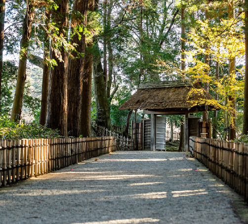 旅行豆知識、旅行雑学、日本三大庭園・水戸の偕楽園