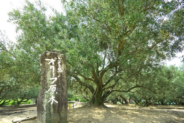 格安四国旅行,格安四国ツアー,格安小豆島旅行,格安小豆島ツアーは格安ツアーのエールツアー