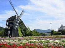 九州旅行格安,九州格安ツアー格安,ハウステンボス格安ツアー,福岡ツアー格安,大分ツアー格安,長崎ツアー格安,由布院温泉ツアー格安,別府温泉ツアー格安,宮崎ツアー格安,鹿児島ツアー格安
