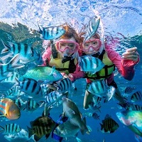 夏旅、サマーツアー、サマーセール、夏宿