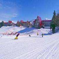 スキーツアー、スノボーツアー、北海道スキ－、苗場スキー、上越国際スキー