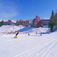 スキーツアー格安,スノボーツアー格安,北海道スキ－格安,苗場スキー格安,上越国際スキー格安