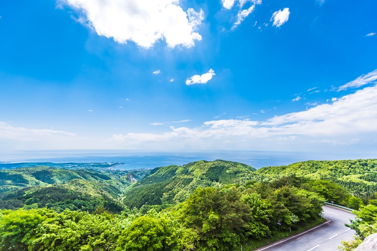 日本の島たび、利尻礼文、佐渡島、伊豆諸島、小笠原諸島、淡路島、小豆島、壱岐・五島列島、軍艦島（端島）、伊王島、屋久島、種子島、奄美大島、与論島